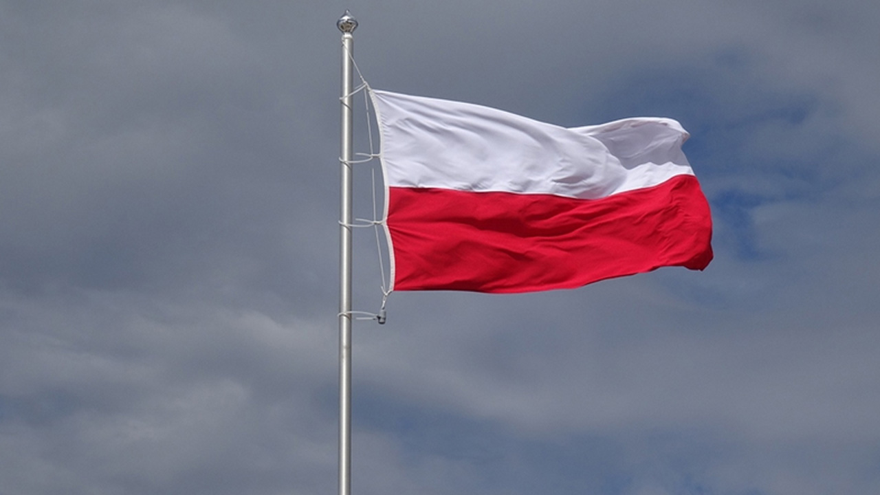 6. Poland: 4.8%