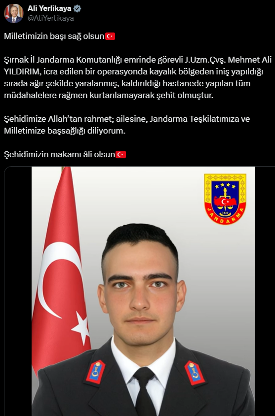 Yerlikaya-7