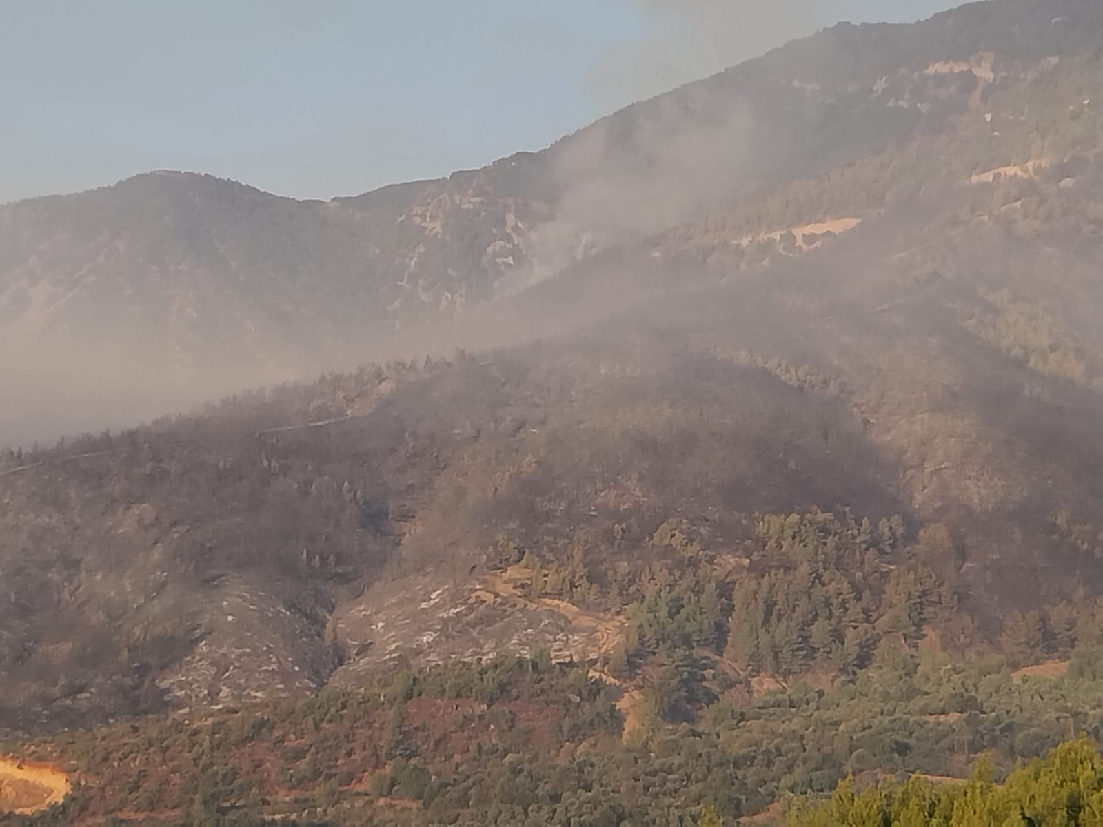 Hataydaki Orman Yangini Ikinci Gununde 863556 256428 (1)