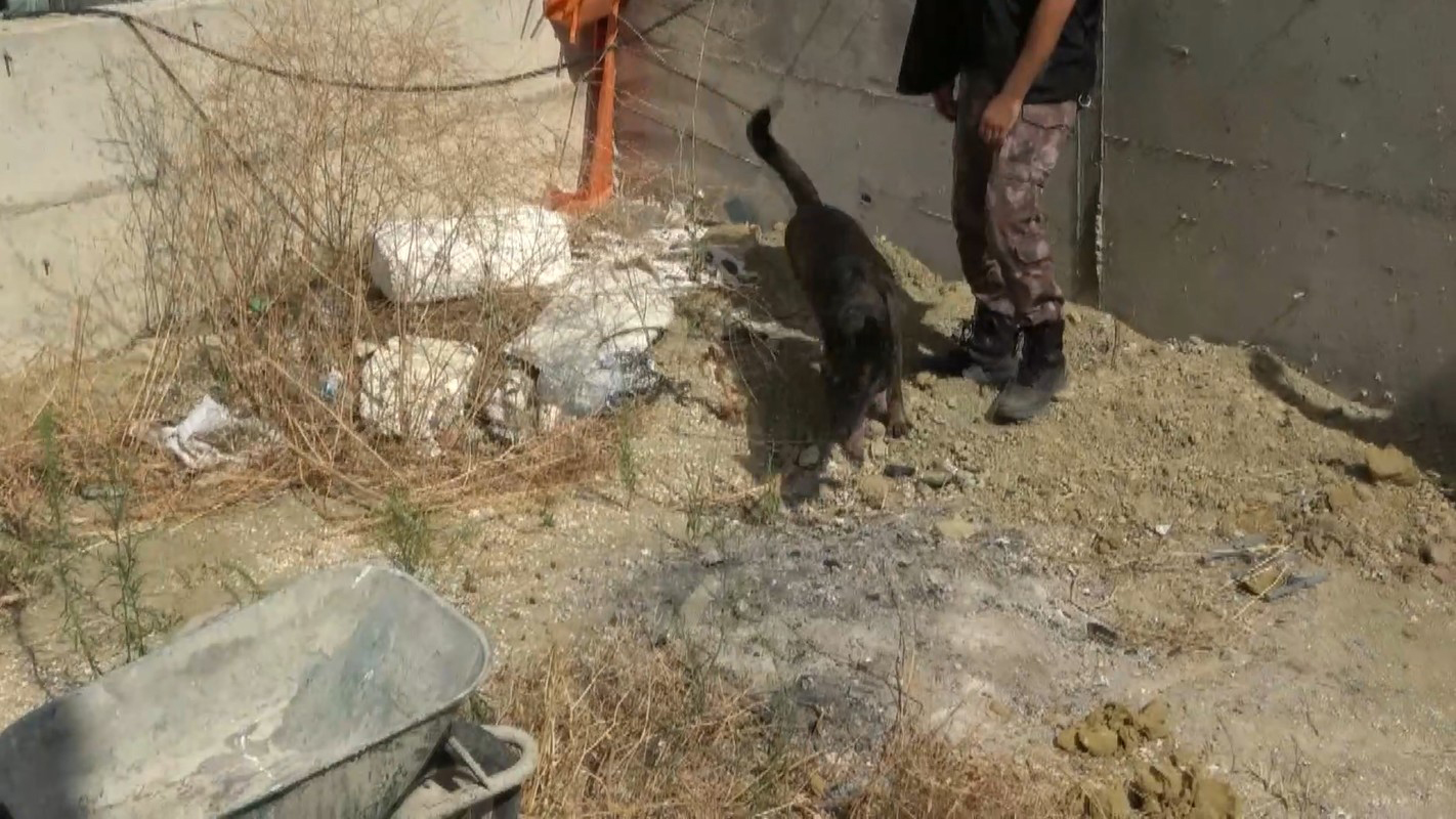 I S T A N B U L B U Y U K C E K M E C E D E V I L L A B A H C E S I 875410 260052