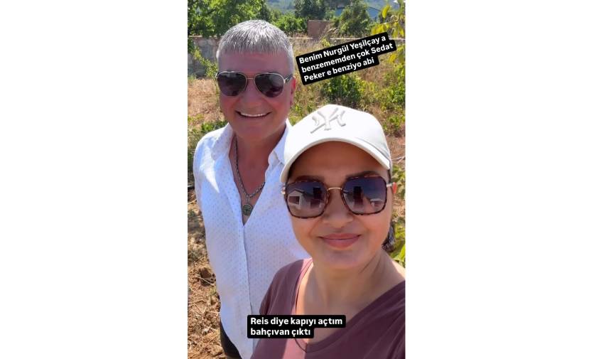 Yeni Proje 2025 08 17T092714.400