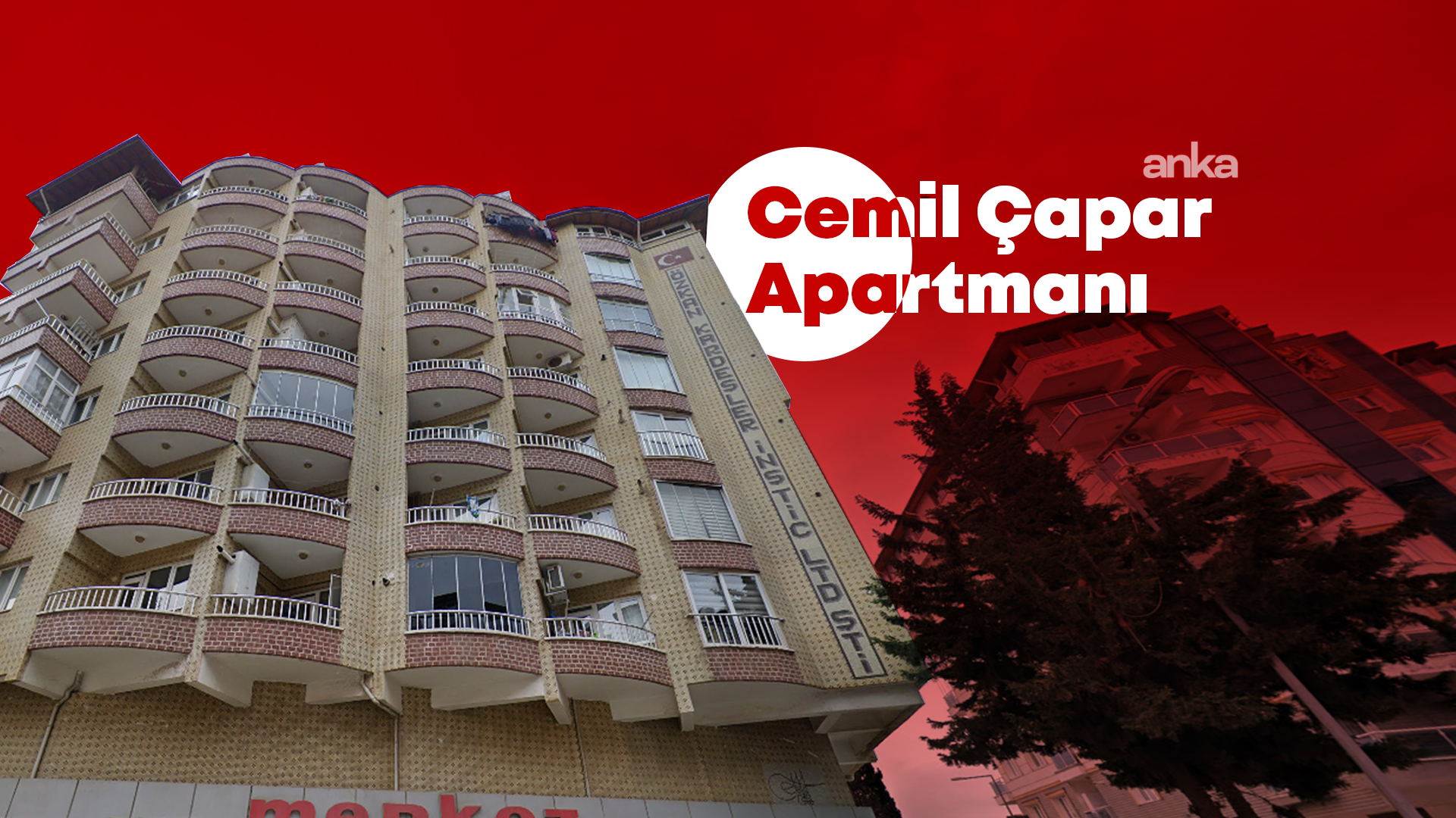 7793Dba6 3771 4337 949D 98Fabf393979