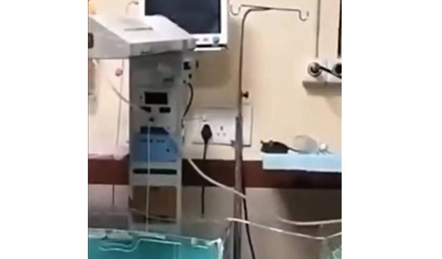 Yeni Proje 2025 09 04T232042.453