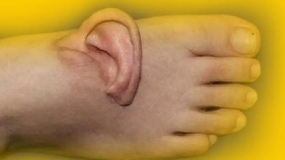 Yeni Proje 2025 12 11T150706.783