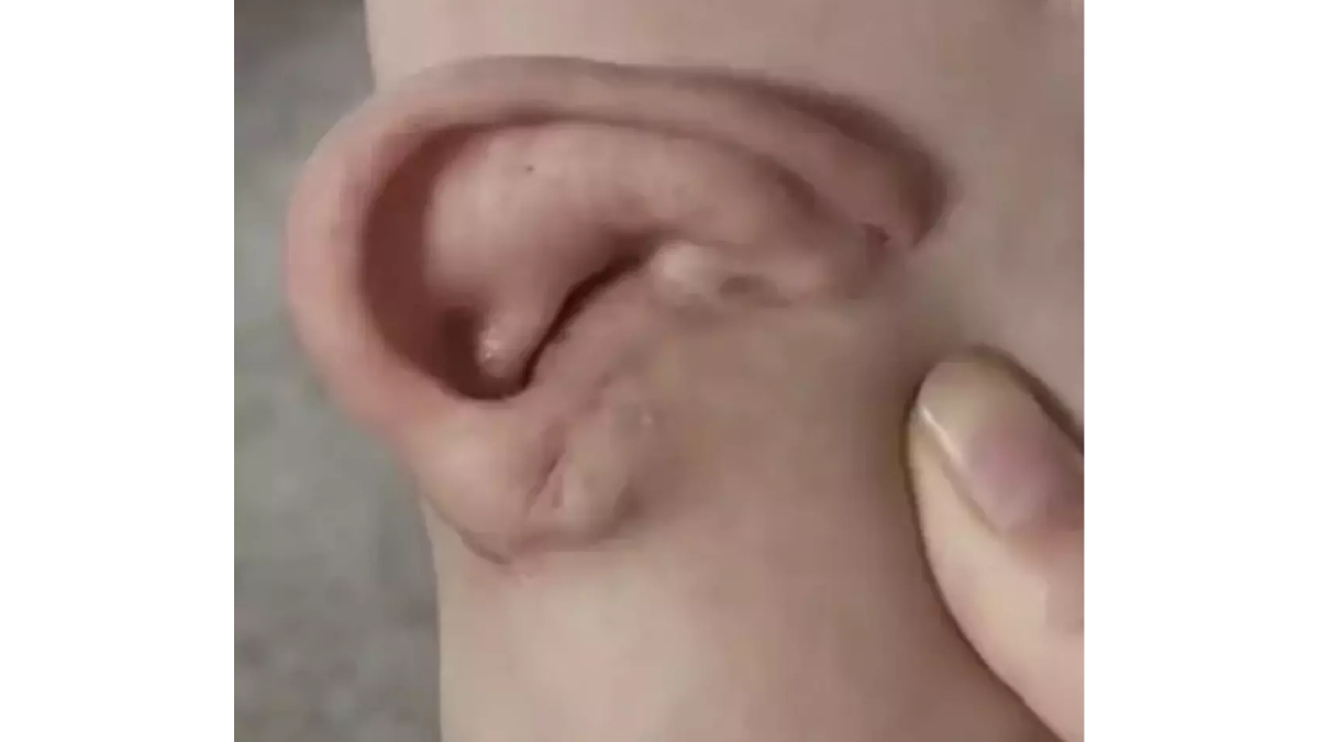 Yeni Proje 2025 12 11T150750.637