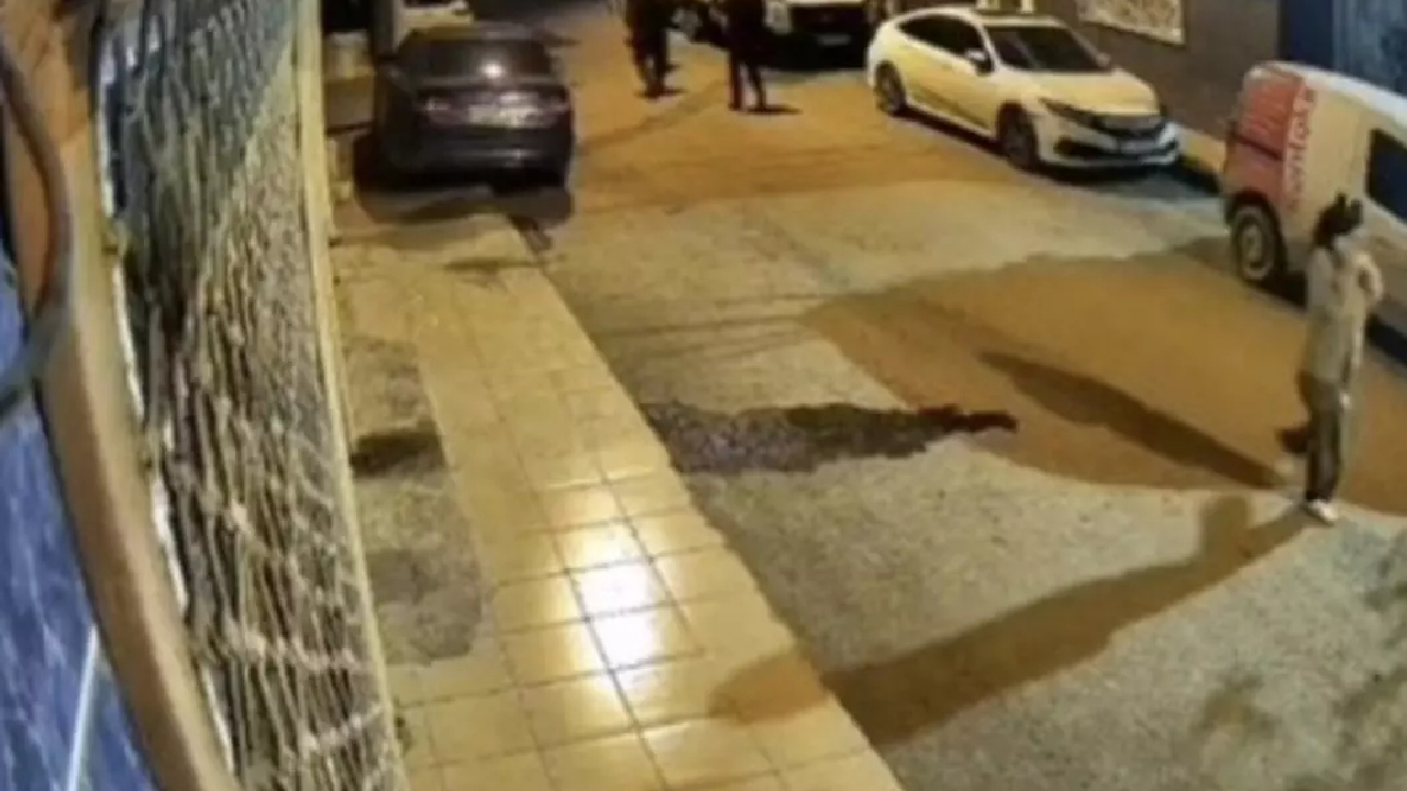 Yeni Proje 2026 01 19T100428.129