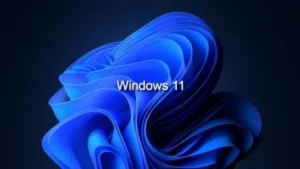 Windows 11