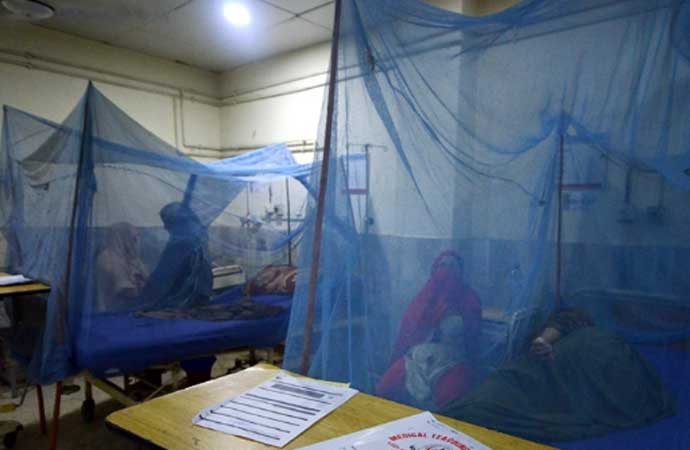 Bangladeş Dang Humması