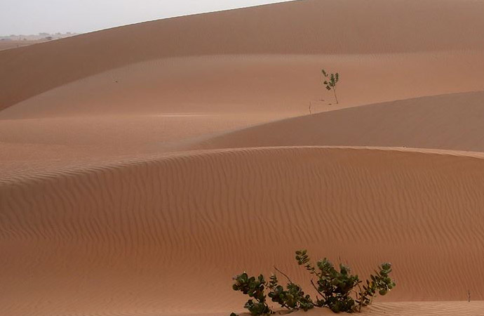 sahra çölü