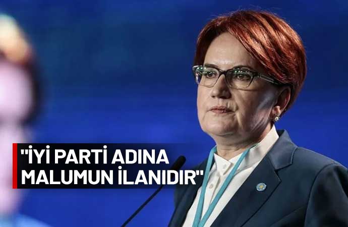 İYİ Parti, Meral Akşener, istifa, yerel seçim