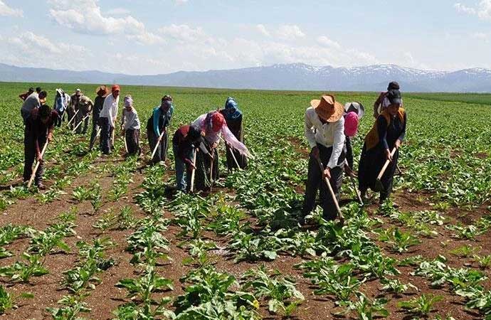 mevsimlik işçi, resmi gazete, yazlık işçi, tarım işçisi 