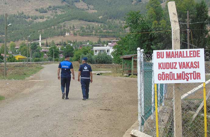 Gaziantep'te iki mahallede kuduz alarmı