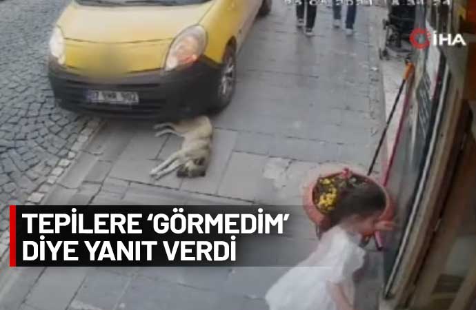 Mardin, Artuklu, köpek, hayvansever 