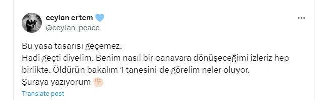 Ceylan Ertem, sokak hayvanları