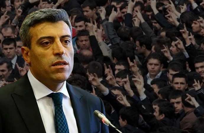 Öztürk Yılmaz, Yenilik Partisi, MHP, Ülkü Ocakları