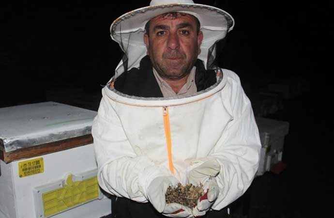 Çanakkale Bayramiç'de toplu arı ölümleri panik yarattı. Kendisine ait 80 kovan arının büyük bir bölümünün öldüğünü belirten İskender Yıldırım, 'Benim gibi 10'dan fazla arıcının kovanları aynı durumda' dedi.