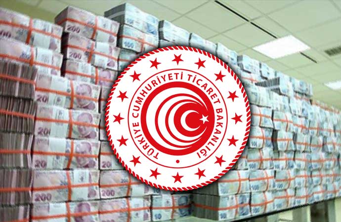 Ticaret Bakanlığı, 40 farklı e-ticaret şirketine toplamda 230 milyon TL para cezası uyguladı.