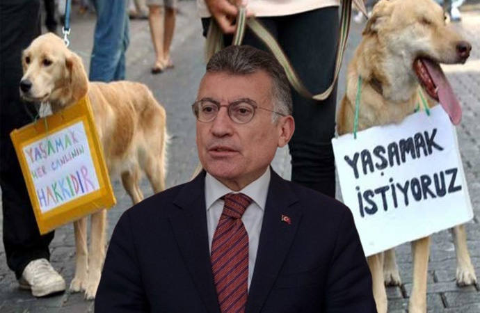 Sokak hayvanlarına yönelik düzenleme yurttaşların tepkisine rağmen meclise sunuldu. AKP Grup Başkanvekili Abdullah Güler ötanaziyi 'imkan' olarak tanımlayarak, 'Rehabilite imkanı olmayan sahipsiz köpeklerin uyutulması yani ötenazi kavramını da bu düzenlemede getiriyoruz' dedi.