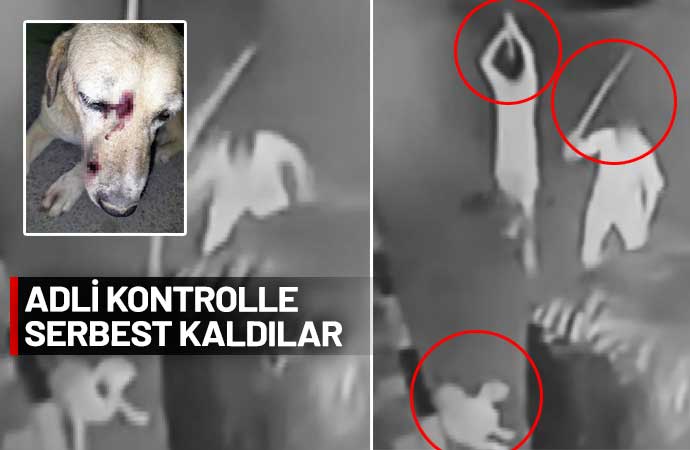 İzmir'in Buca ilçesinde, ellerinde sopa bulunan baba oğul, yerde uzanan bir sokak köpeğine acımasızca saldırdı. Saldırganların adli kontrol şartıyla serbest bırakıldığı öğrenildi. 