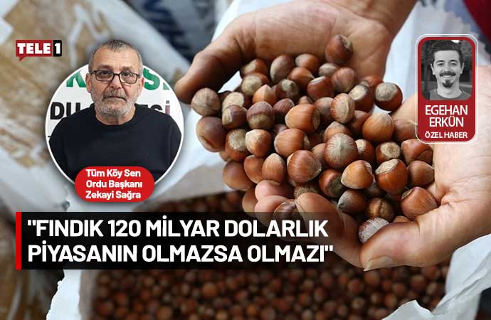 Tüm Köy Sen Ordu Şube Başkanı Zekayi Sağra, TMO'nun açıkladığı fındık alım fiyatlarına tepki gösterdi. İktidarın uluslararası şirketler ile iş birliği yaparak üreticiyi mağdur ettiğini öne süren Sağra, 'Üreticinin ürünü elinden haraç mezat alındı. Bu fiyatların kabul edilebilir bir yanı yoktur' dedi. 