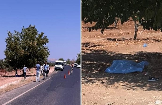 Şanlıurfa, cinayet