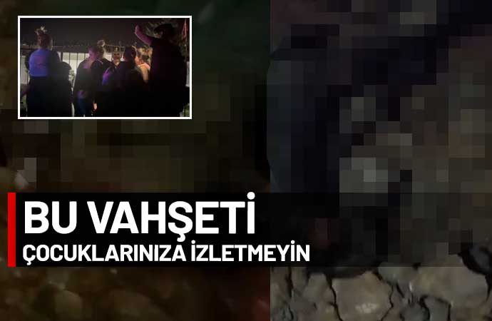 Ankara'nın Altındağ ilçesinde belediye barınağında hayvan katliamı yapıldığı iddiası üzerine hayvanseverler harekete geçti. Bölgeye giden yurttaşlar, gizlice girdikleri barınakta hayvan mezarları buldu. Yetkililer, 'katliam' tepkilerine ve sorulara karşı sessiz kalırken, bölgeye jandarma ekipleri sevk edildi. 